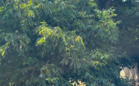 TERRENO EN RAMALES